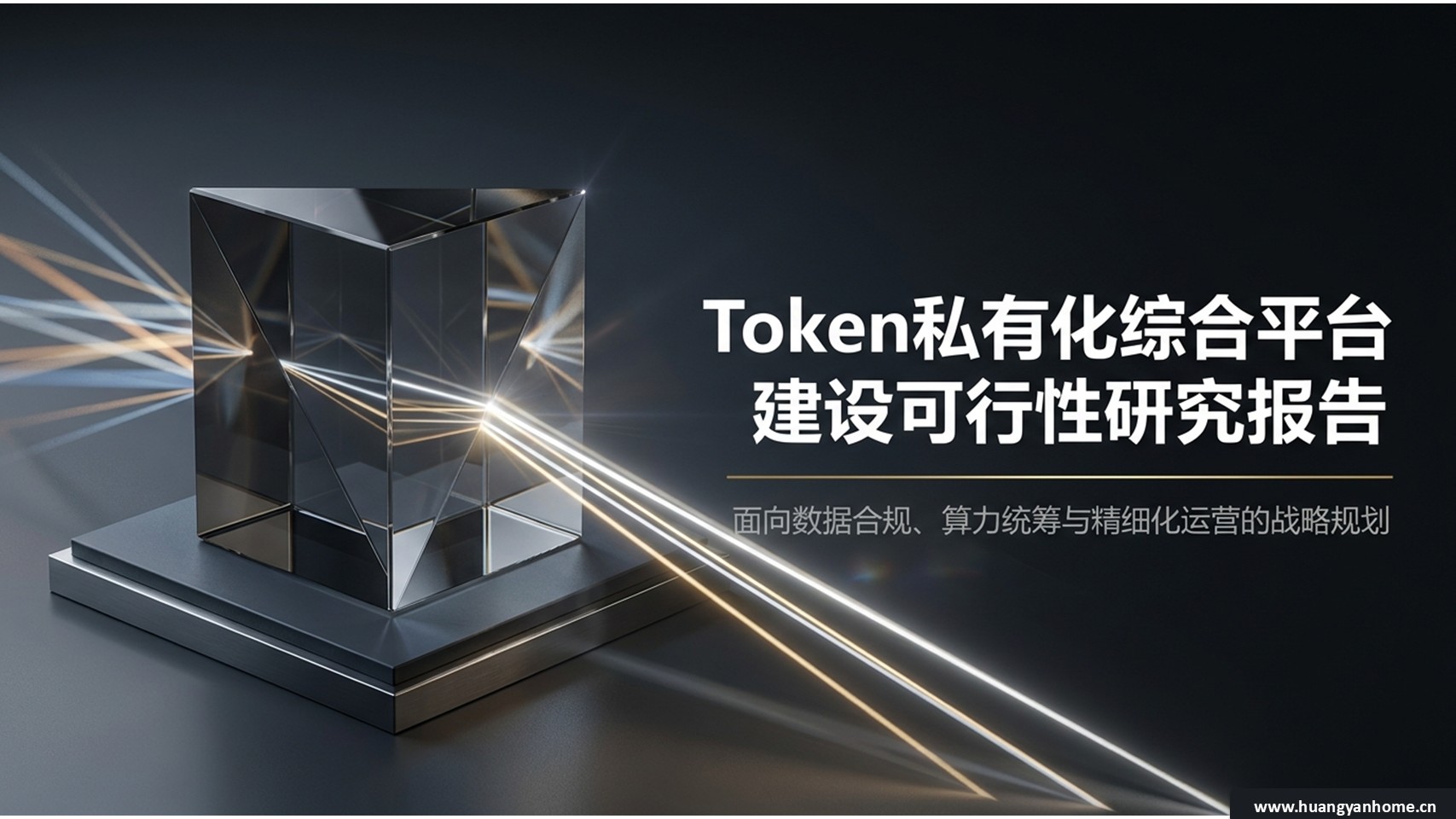 Token 私有化综合平台封面